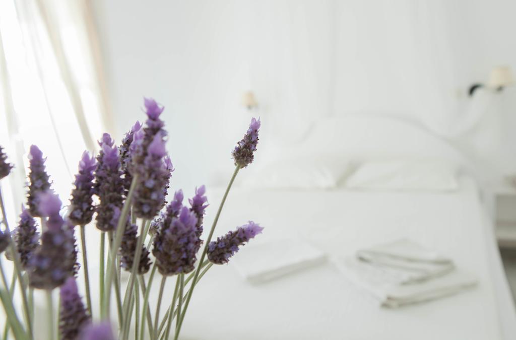 Hotel Begleri Antiparos Town Chambre photo
